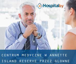 Centrum Medyczne w Annette Island Reserve przez główne miasto - strona 1
