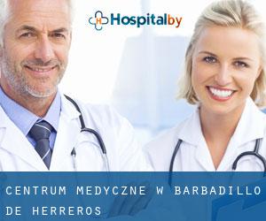 Centrum Medyczne w Barbadillo de Herreros