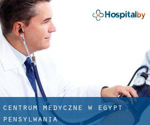 Centrum Medyczne w Egypt (Pensylwania)