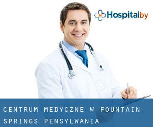 Centrum Medyczne w Fountain Springs (Pensylwania)