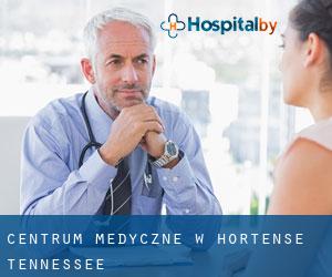 Centrum Medyczne w Hortense (Tennessee)