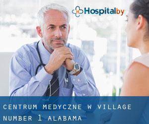 Centrum Medyczne w Village Number 1 (Alabama)