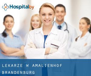 Lekarze w Amalienhof (Brandenburg)