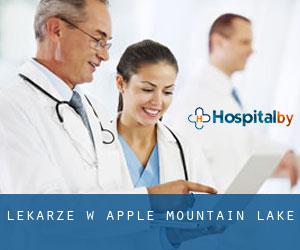 Lekarze w Apple Mountain Lake