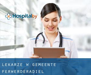 Lekarze w Gemeente Ferwerderadiel