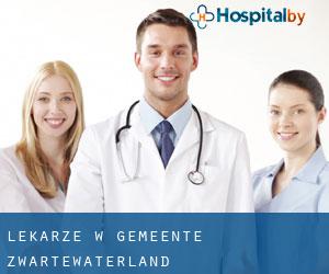 Lekarze w Gemeente Zwartewaterland