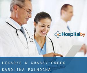 Lekarze w Grassy Creek (Karolina Północna)