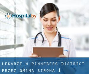 Lekarze w Pinneberg District przez gmina - strona 1