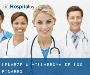 Lekarze w Villarroya de los Pinares