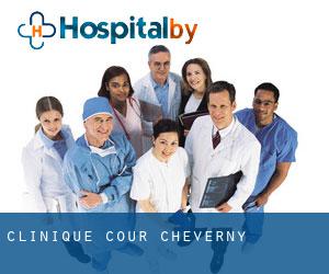 Clinique Cour-Cheverny
