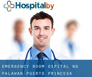 Emergency Room - Ospital ng Palawan (Puerto Princesa)