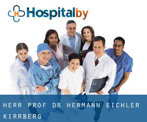 Herr Prof. Dr. Hermann Eichler (Kirrberg)