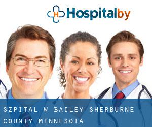 szpital w Bailey (Sherburne County, Minnesota)
