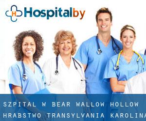 szpital w Bear Wallow Hollow (Hrabstwo Transylvania, Karolina Północna)