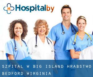 szpital w Big Island (Hrabstwo Bedford, Wirginia)