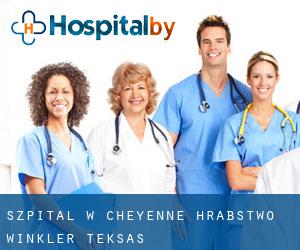 szpital w Cheyenne (Hrabstwo Winkler, Teksas)