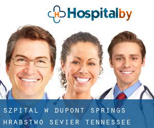 szpital w Dupont Springs (Hrabstwo Sevier, Tennessee)