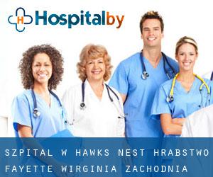 szpital w Hawks Nest (Hrabstwo Fayette, Wirginia Zachodnia)