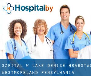 szpital w Lake Denise (Hrabstwo Westmoreland, Pensylwania)