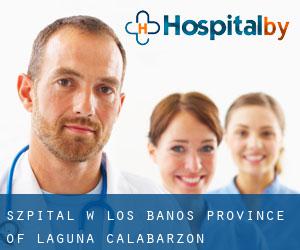 szpital w Los Baños (Province of Laguna, Calabarzon)
