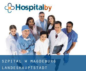szpital w Magdeburg Landeshauptstadt