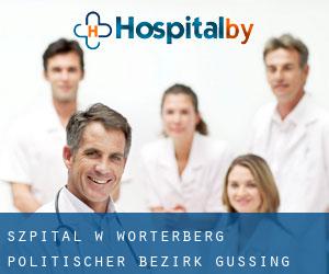 szpital w Wörterberg (Politischer Bezirk Güssing, Burgenland)